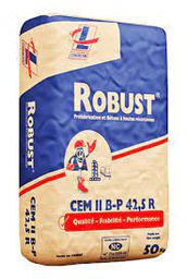 [02509] CIMENT ROBUST 42.5 50 KG